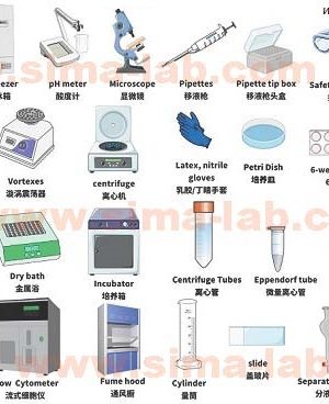 1133110001，CULTURA微型培养箱（230 V）